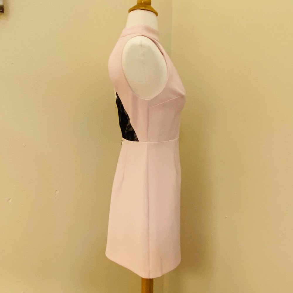 Express Dress - Picture 4 of 5